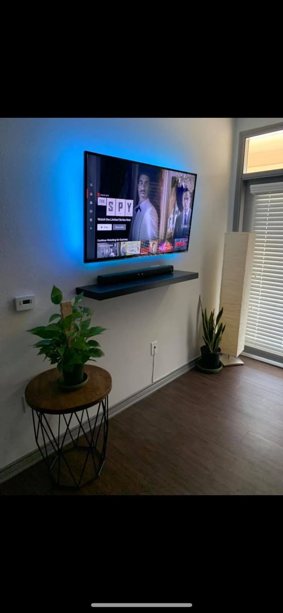 Netflix on wall-mounted TV above floating shelf with plants